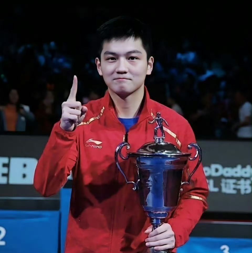 关于日本乒乓球队逆转瑞典乒乓球队，王皓惊艳世界的信息